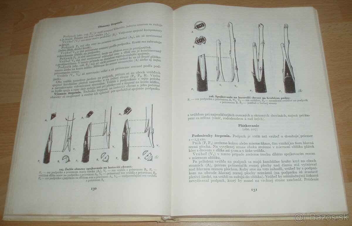 Štepenie, očkovanie a preštepovanie drevín - 15