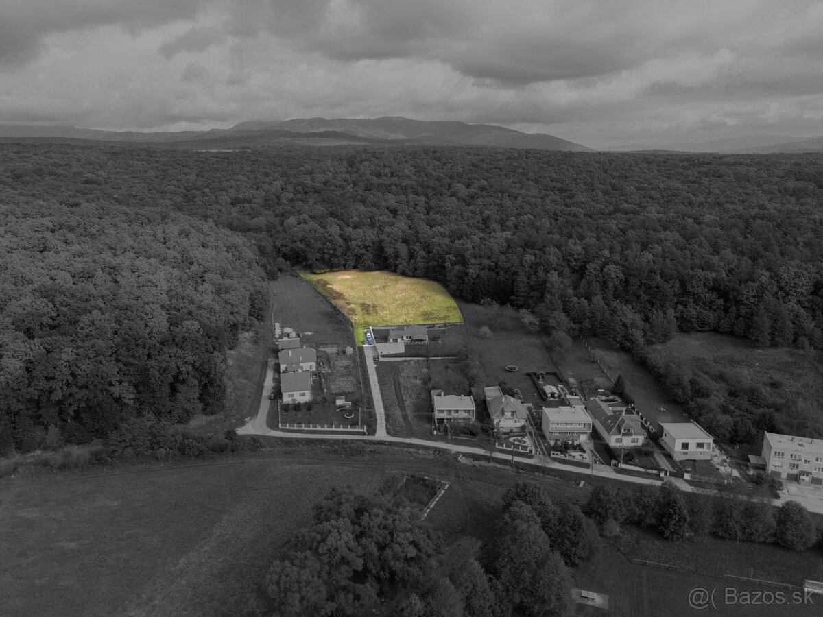 Lukratívna ponuka pozemku v obci Brezolupy 8040m2 - 15