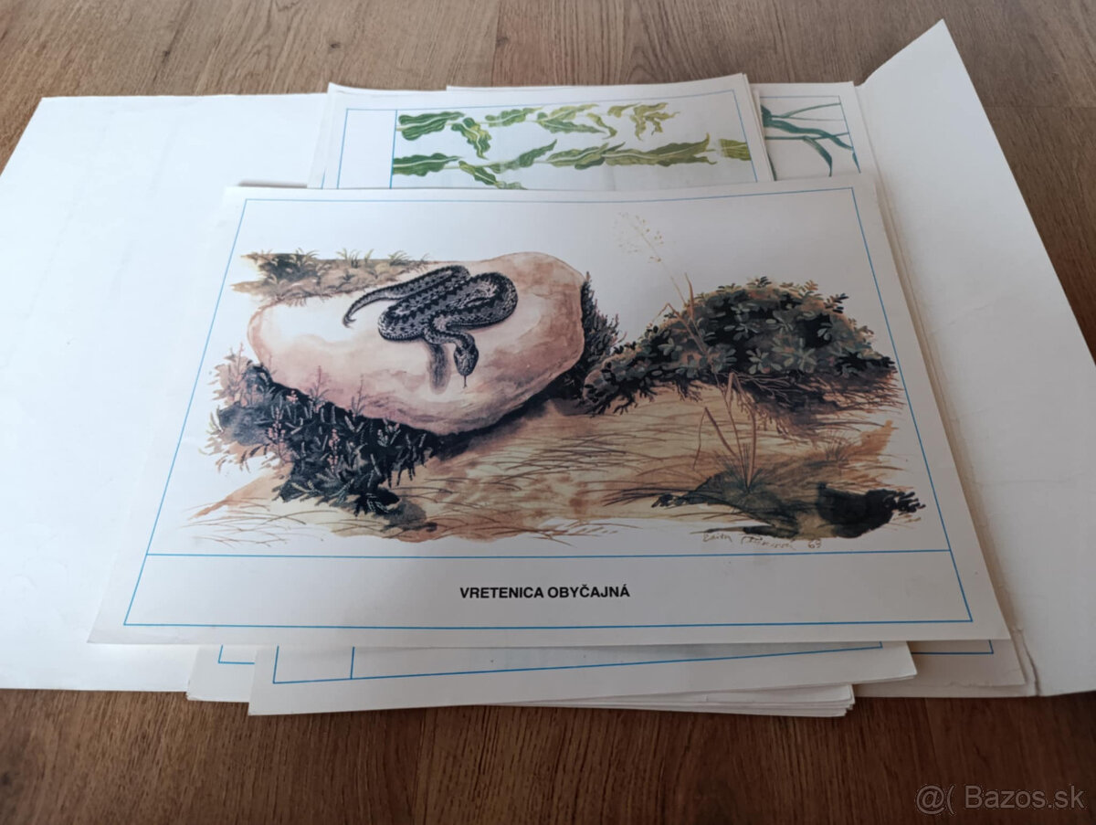 Staré školské pomôcky - 15