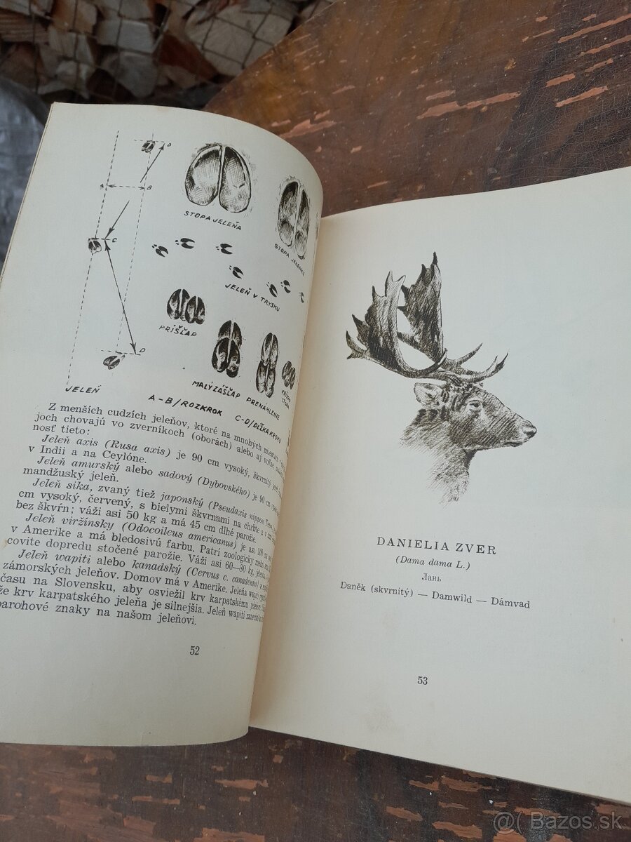 Predám knihu polovníctvo v obrazoch - 15