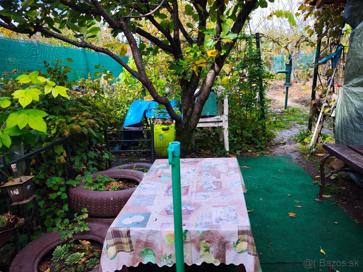 Udržiavaná záhrada so studňou a chatkou - 15