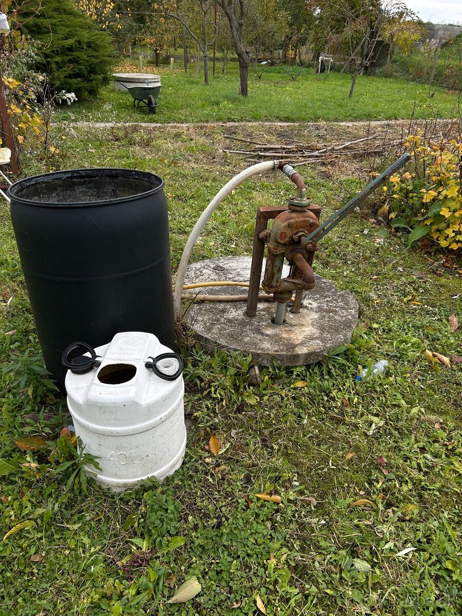 Záhrada vo Svätom Jure - 15