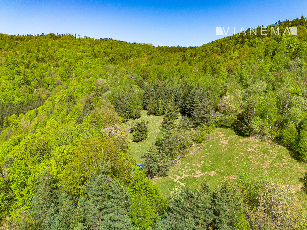 IBA U NÁS Pozemok na samote v lese - Lazy pod Makytou - 15