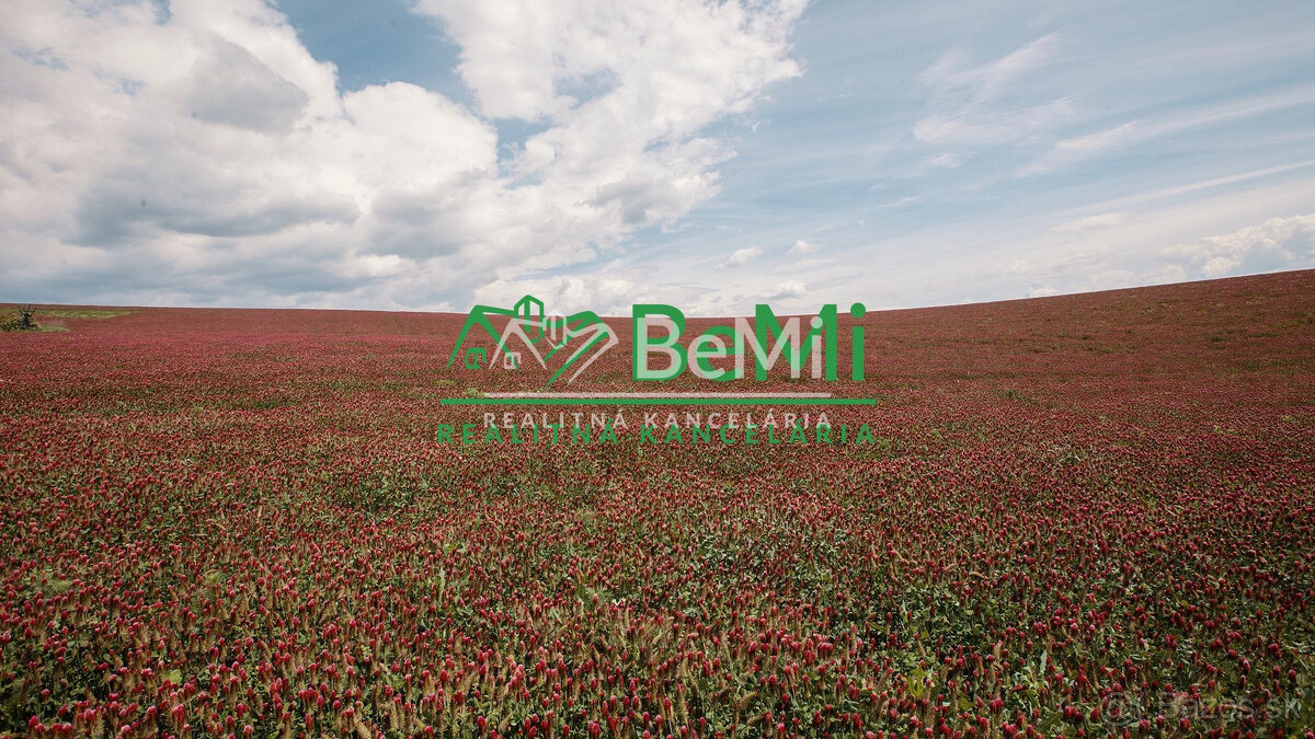 RODINNÝ DOM S EXKLUZÍVNOU PIVNICOU - 15