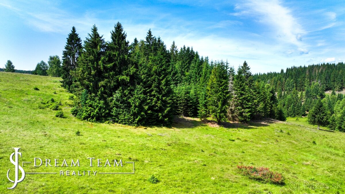 Stavebný pozemok 2.2ha v krásnom prostredí Látky okr. Detva - 15