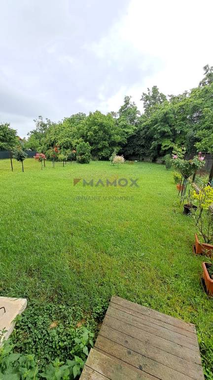 500m2 pre vaše podnikanie a bývanie pod jednou strechou v Ni - 15