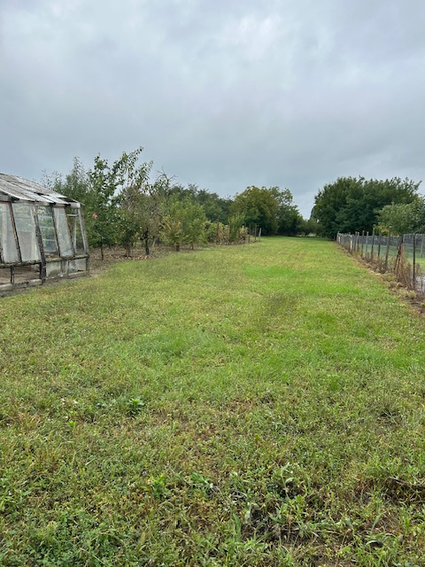 Na predaj: Rodinný dom s veľkým pozemkom v pokojnej lokalite - 15