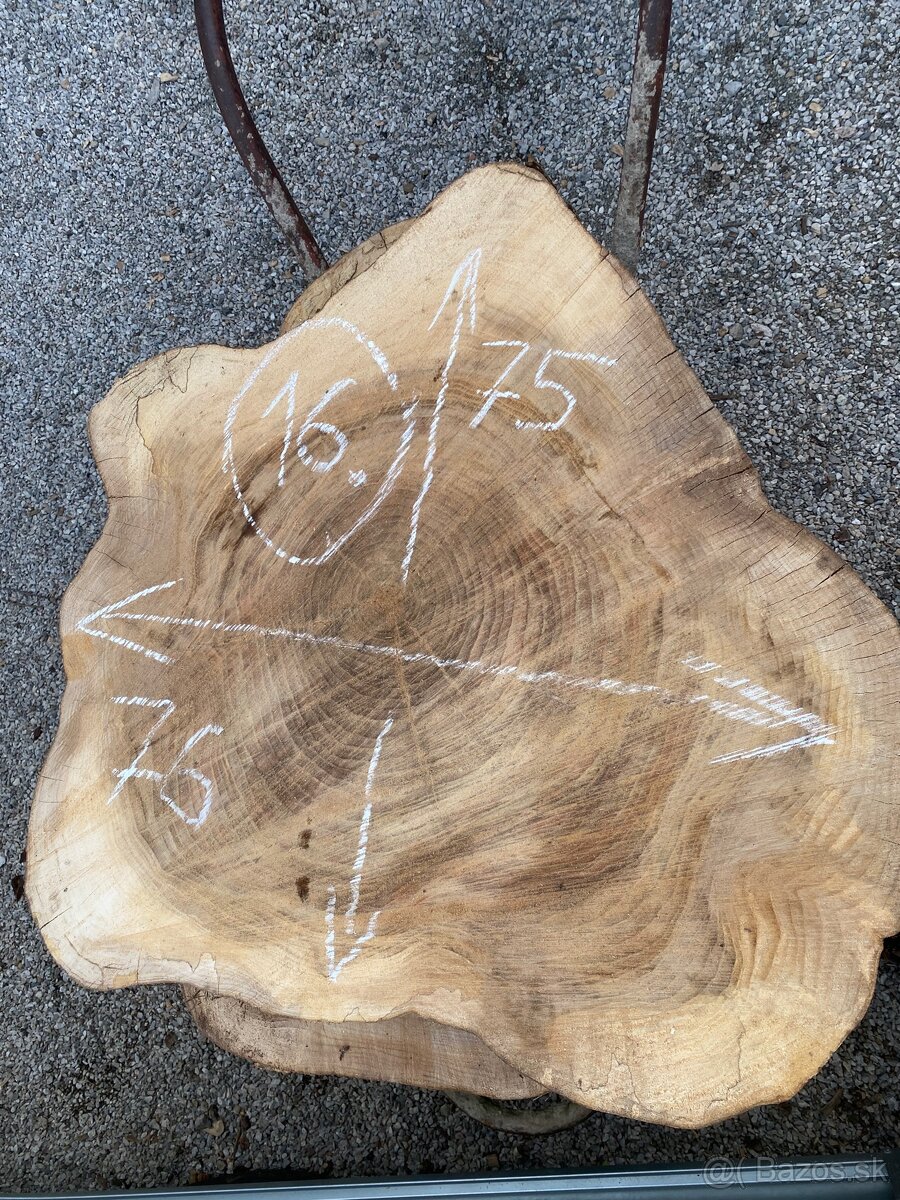 Brest priečny rez,kolač - 15