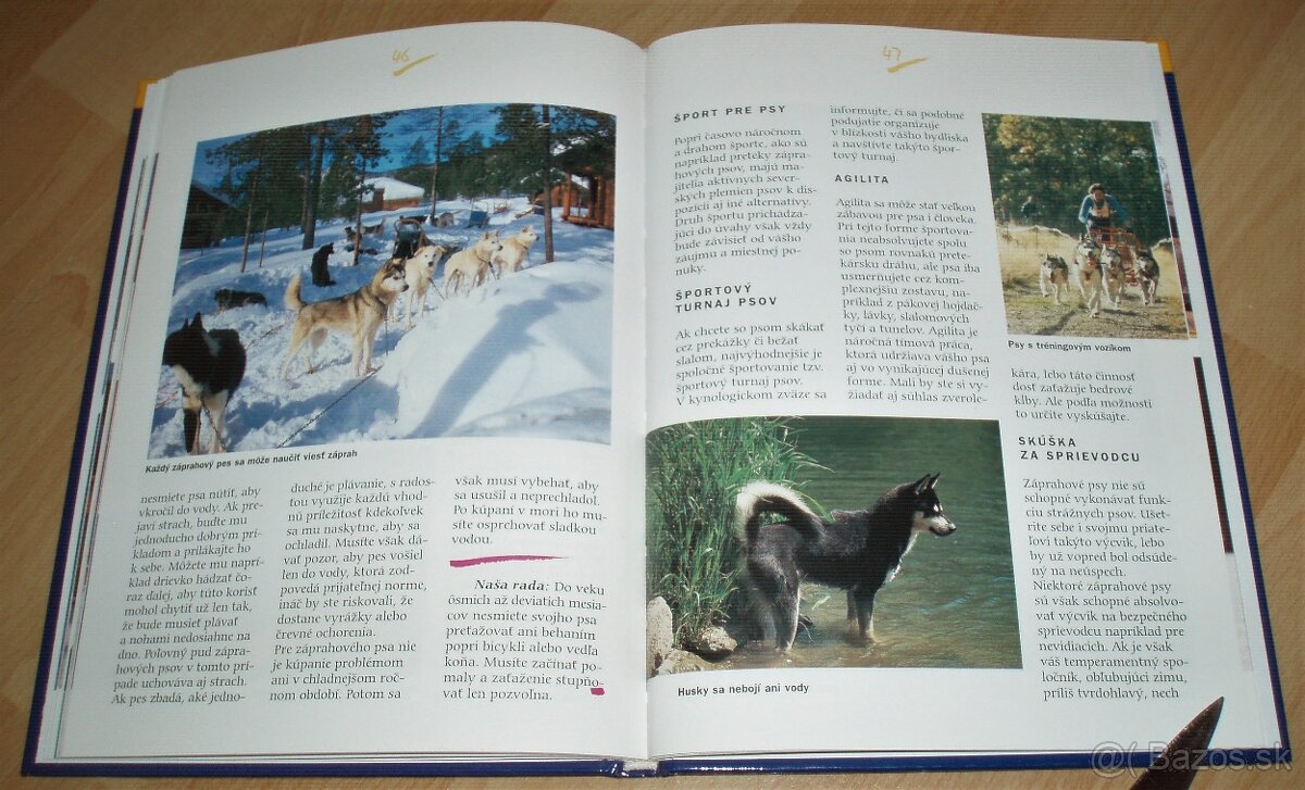 Záprahové psy - 15