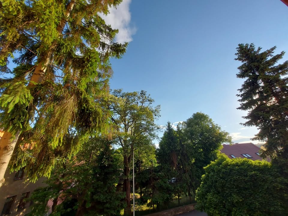 Prenájom garsónky v centre Prešova – Záhradná ulica - 15