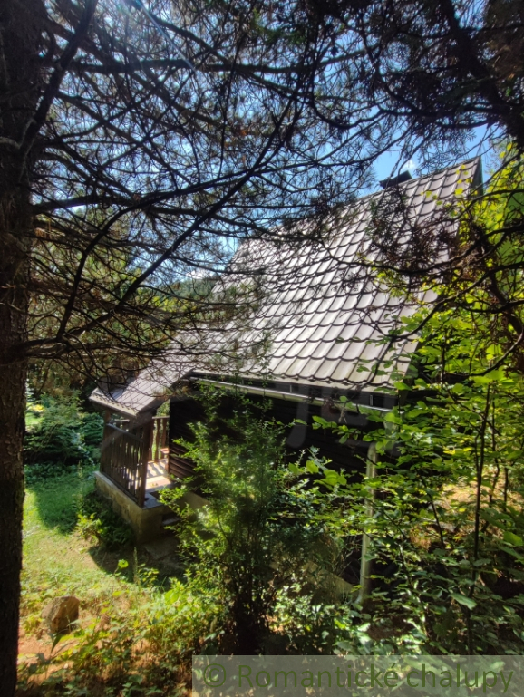 Chata uprostred lesa neďaleko viacerých lyžiarskych stredí - 15