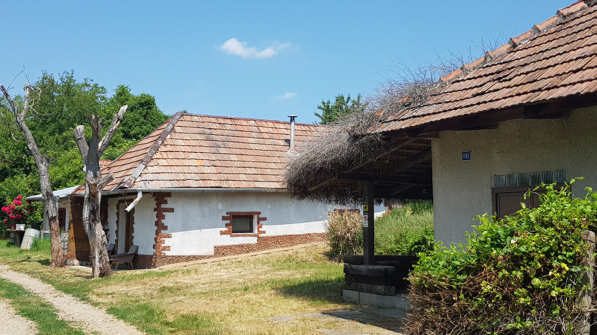 Predám dva vinohradnícke domy s pozemkami medzi vinohradmi p - 15