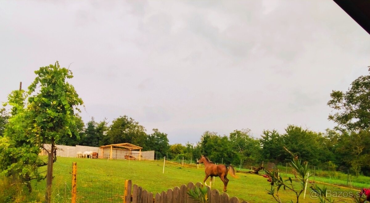 Na predaj areál na vidieku 🍀 farma, usadlosť, stavebné - 15