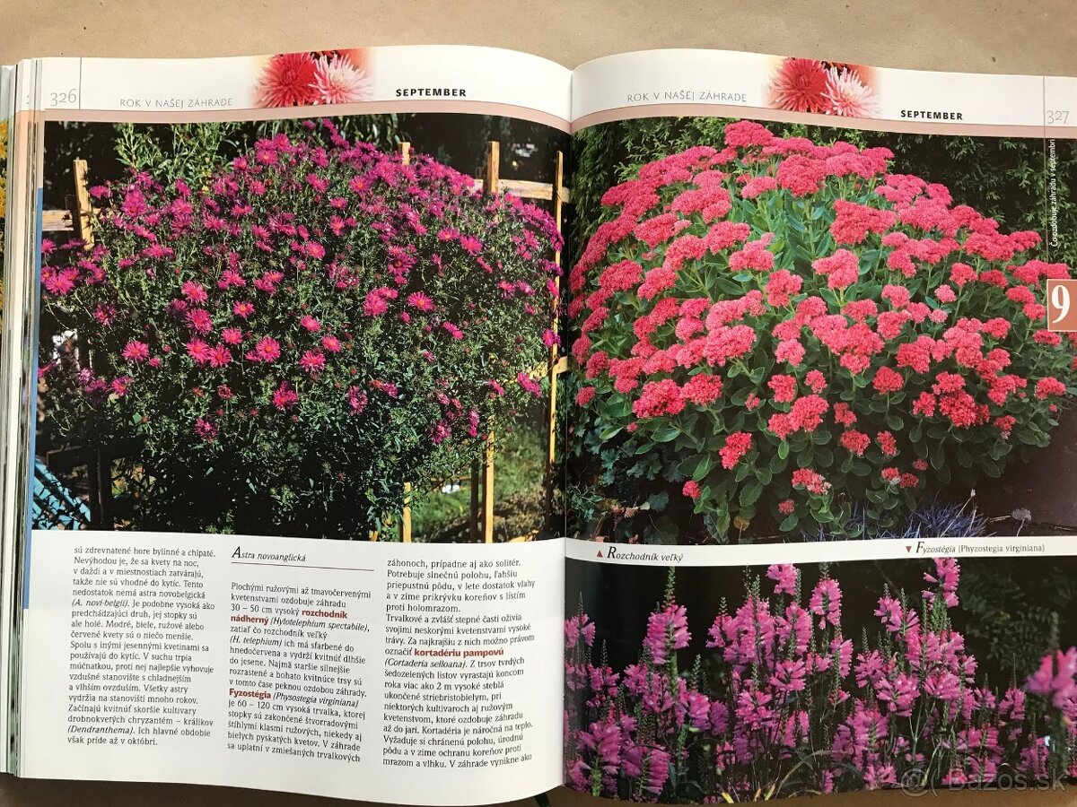 Bukovský, Psy, Golf Fyzika, Malý atlas húb, Slovenský futbal - 15