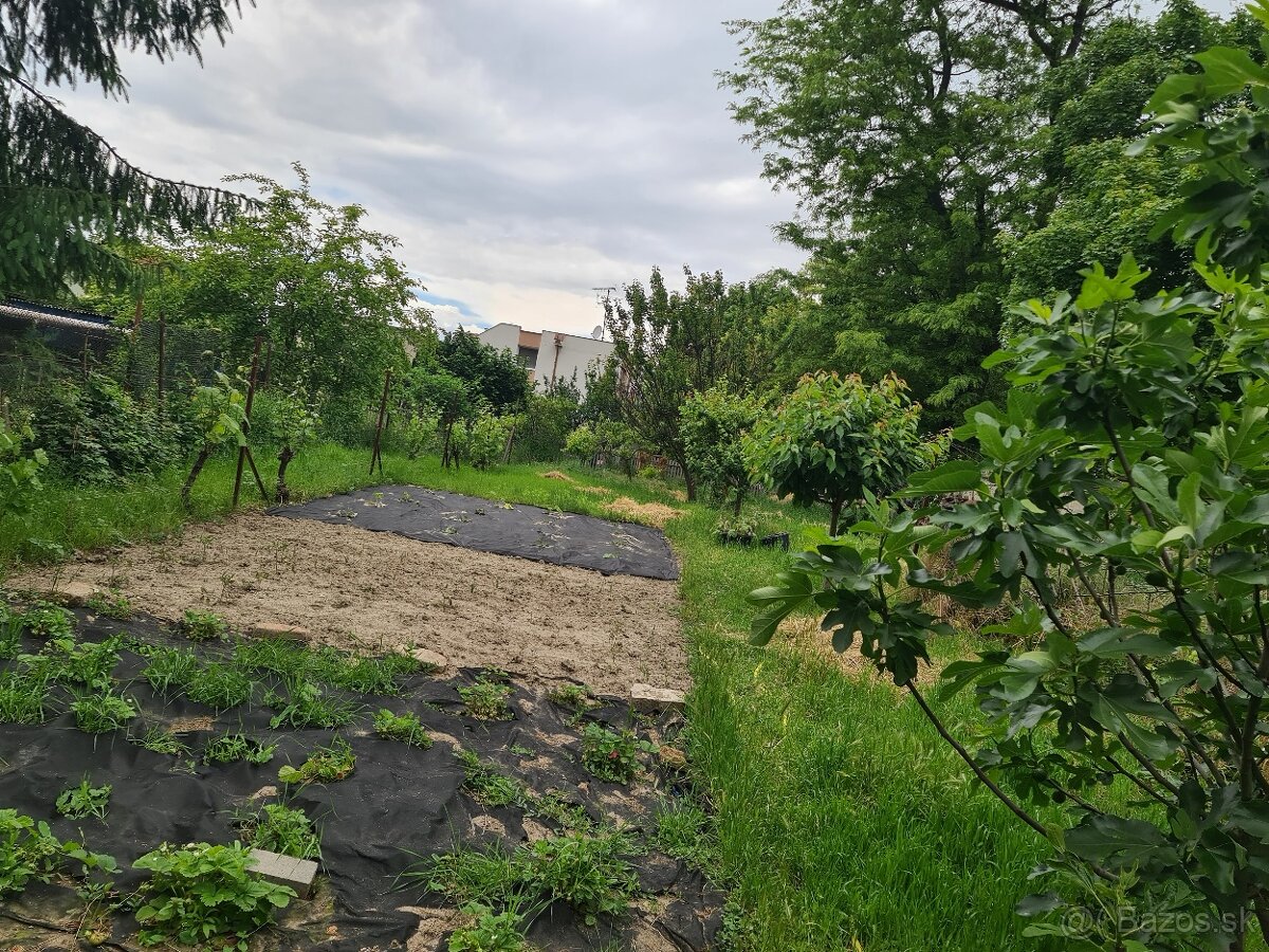 Predám 4 izb. rodinný dom - 15