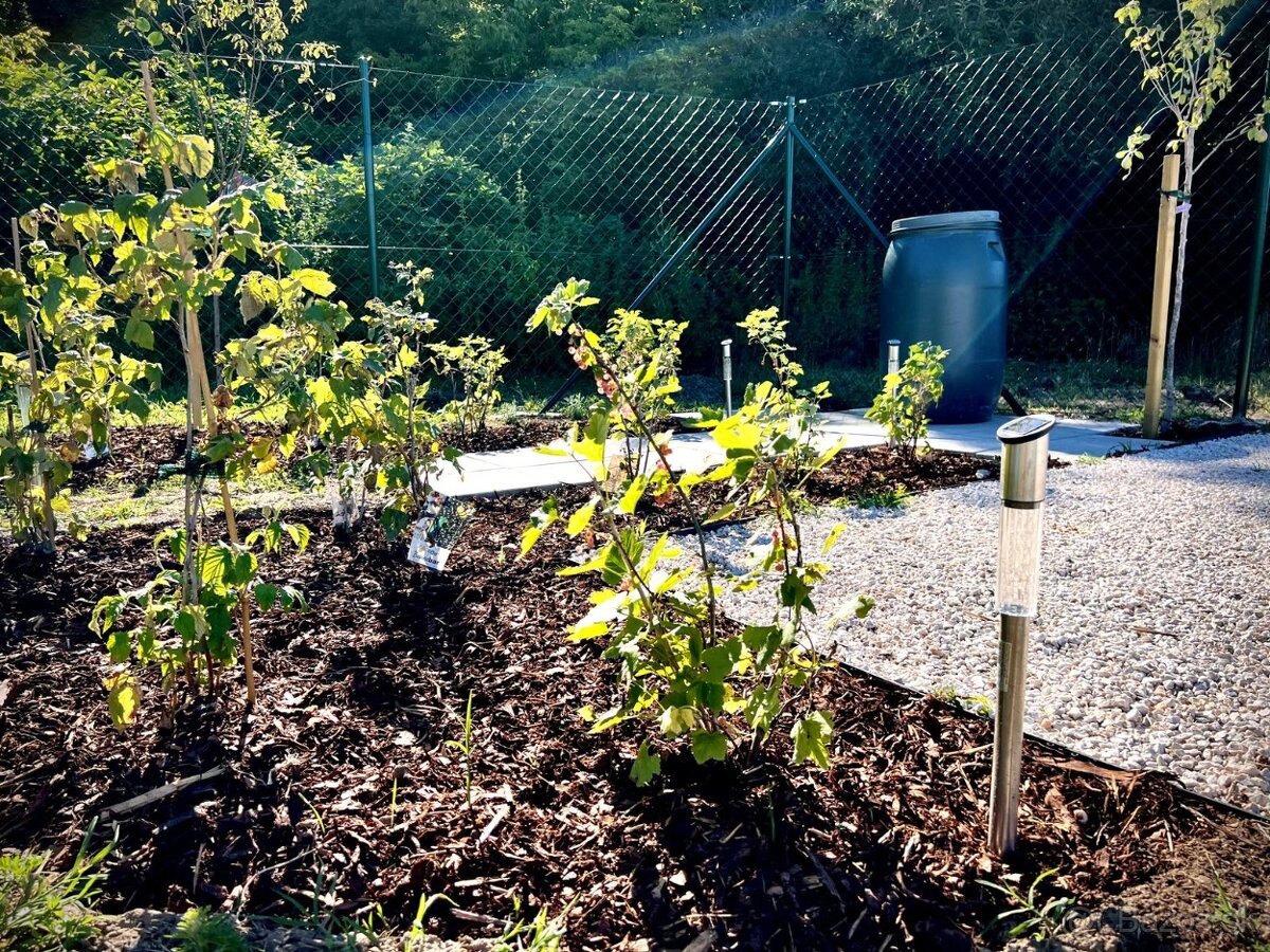 Záhrada na predaj v Nových Zámkoch. - 15