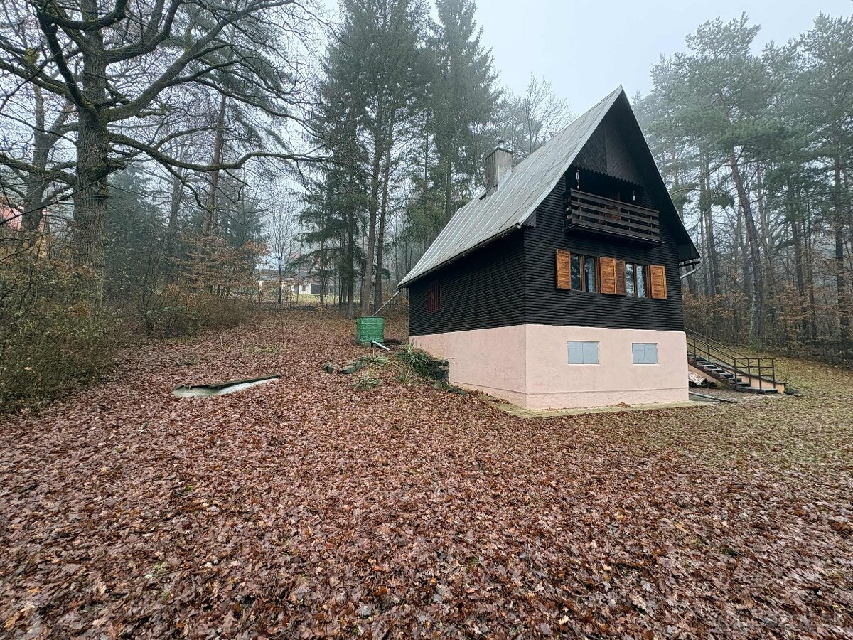 🌲Rekreačná chata v objatí lesa – Bienská dolina, Kováčová - 15