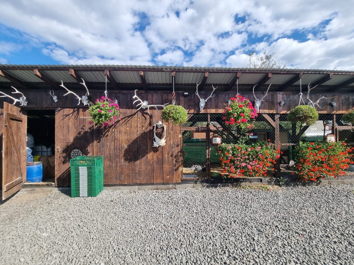 Voliery , klietky - 15