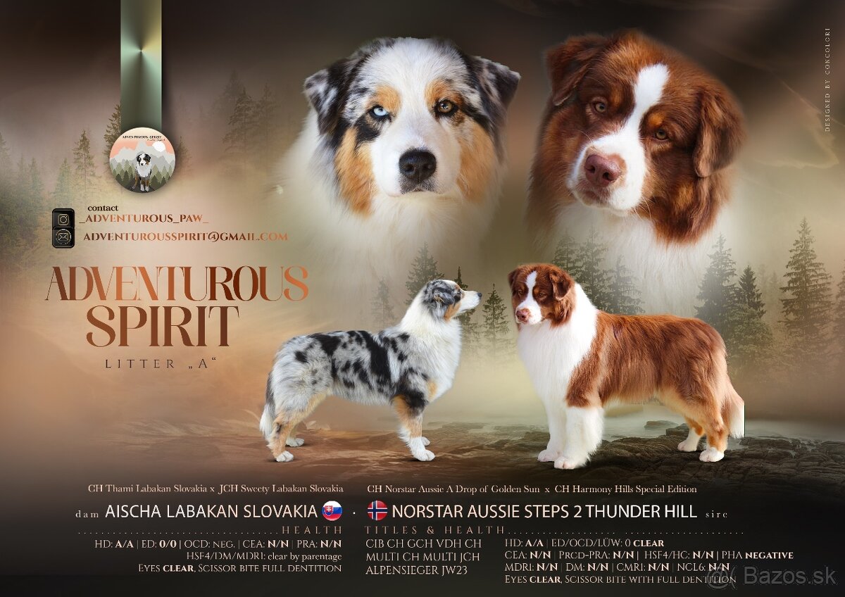 Austrálsky ovčiak s PP - 15