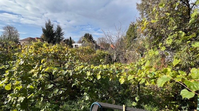 Exkluzívne APEX reality RD na Radlinského ul. Hlohovec 515m2 - 15