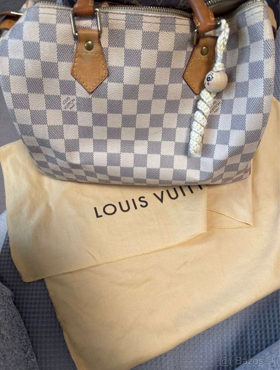 Louis Vuitton Speedy - 15