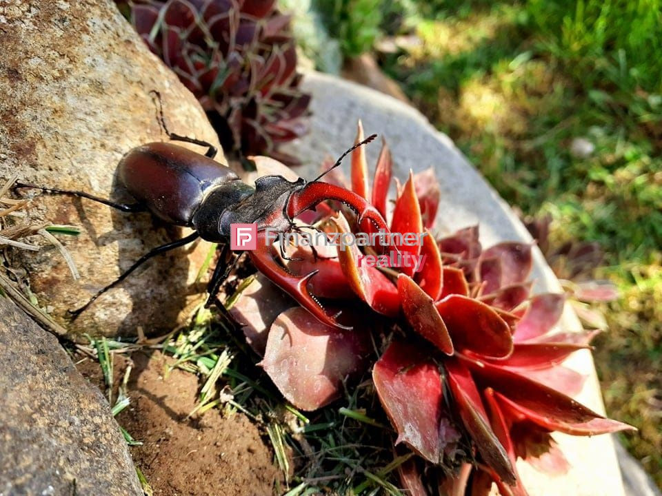 3 pozemky, 3 chatky, na výstavbu domu, Bartošova Lehôtka - 15