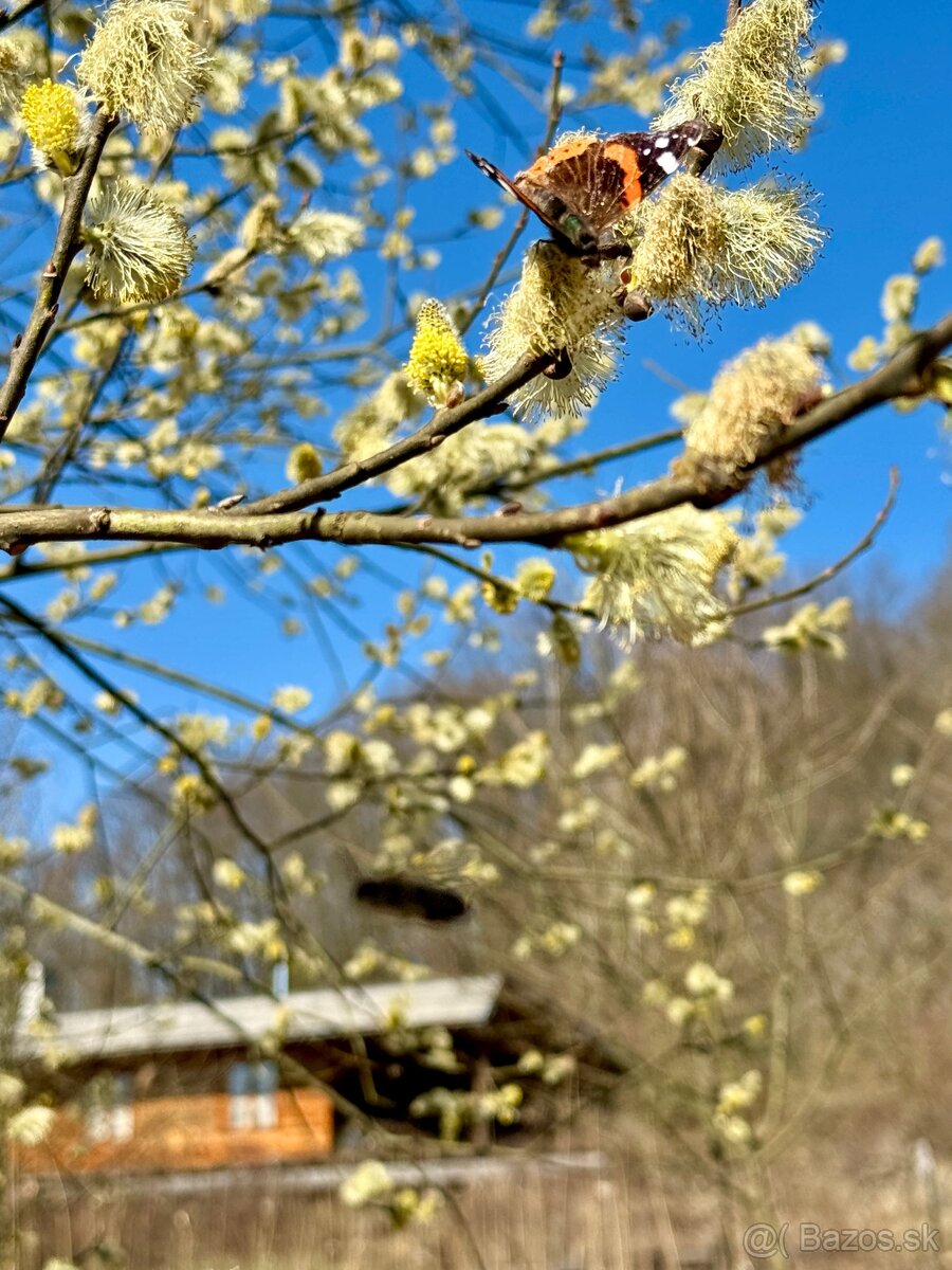 Úplná samota: Rodový statok 1H, vidiecky dom - 15