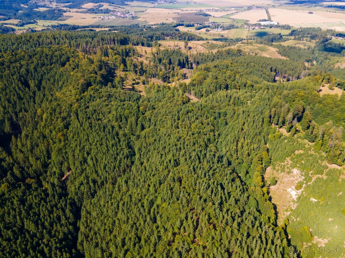 HOSPODÁRSKY LES V OBCI BUDIŠ V OKRESE TURČIANSKE TEPLICE - 15