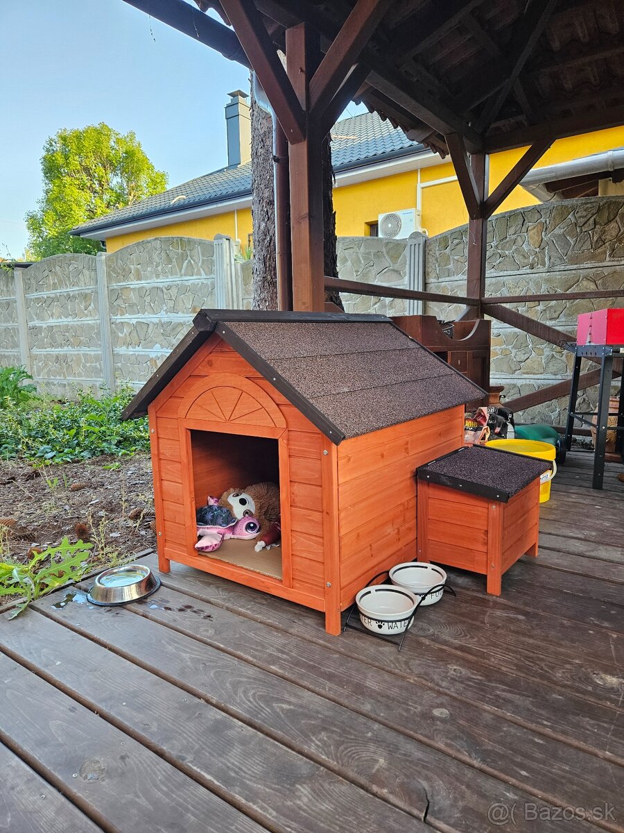 Pomeranian Mini - 15