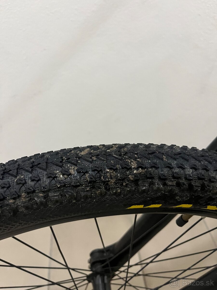 Ctm dirtking xpert - 15