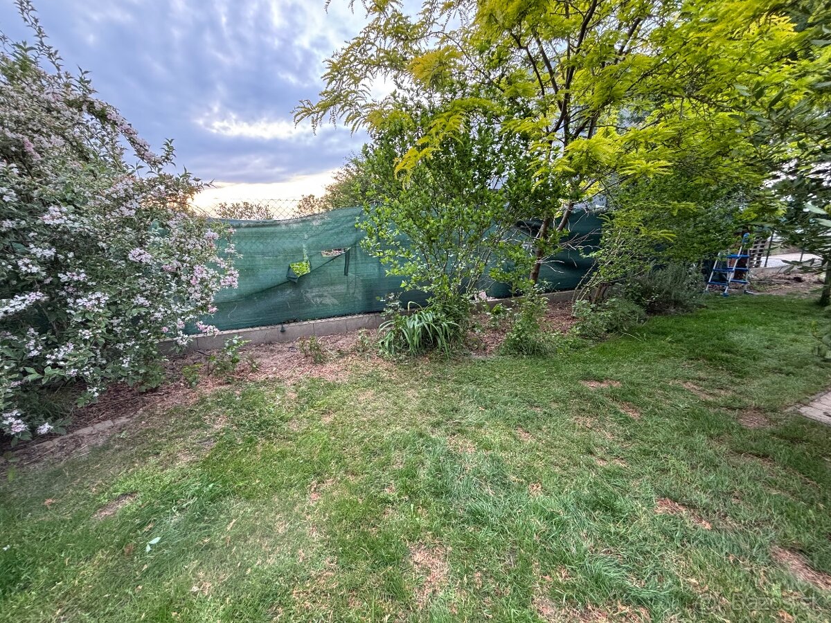 Kosenie/Strihanie/Údržba zelene/Pílenie /Drvenie - 15