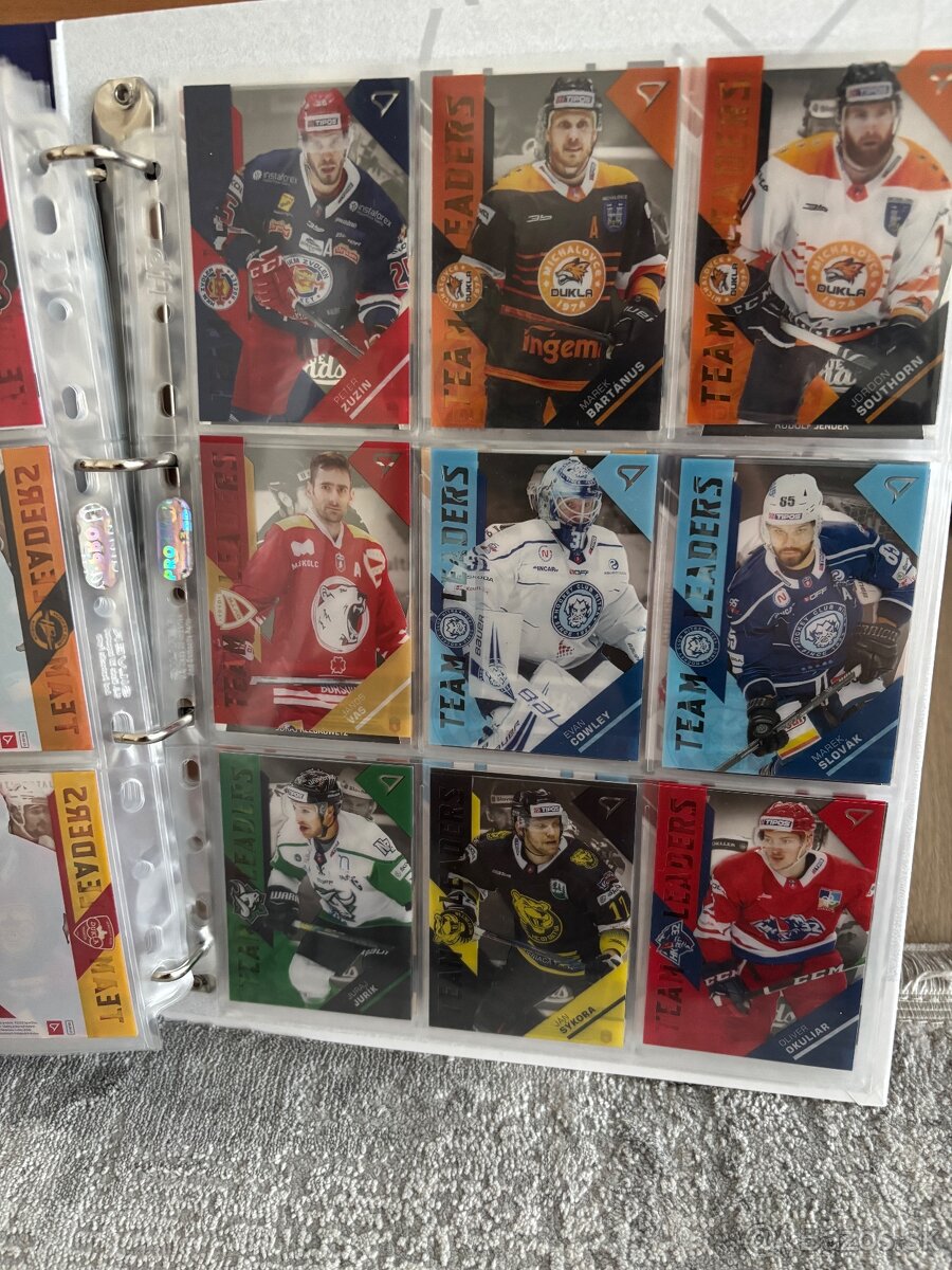 Hokejové kartičky - 15
