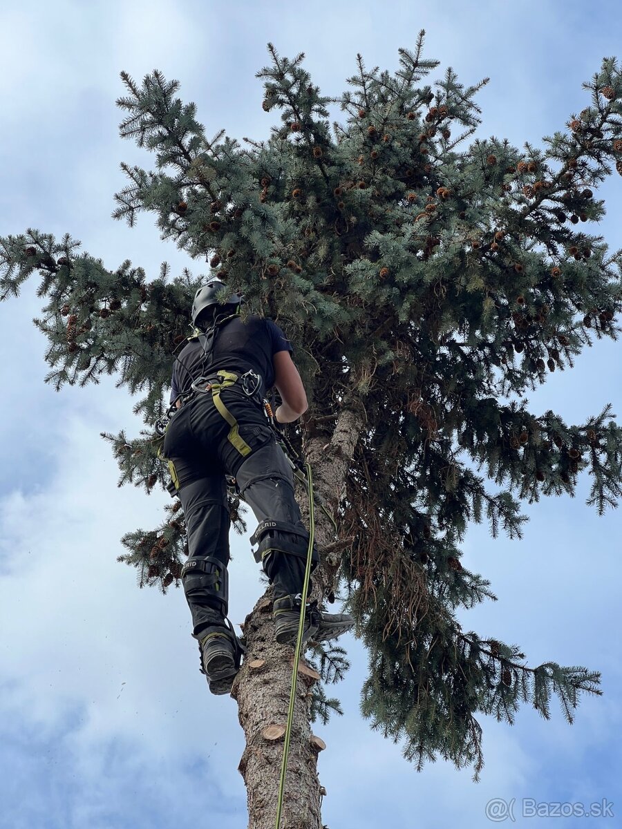 Pílenie stromov, arboristika, výrub stromov, orez stromov - 15