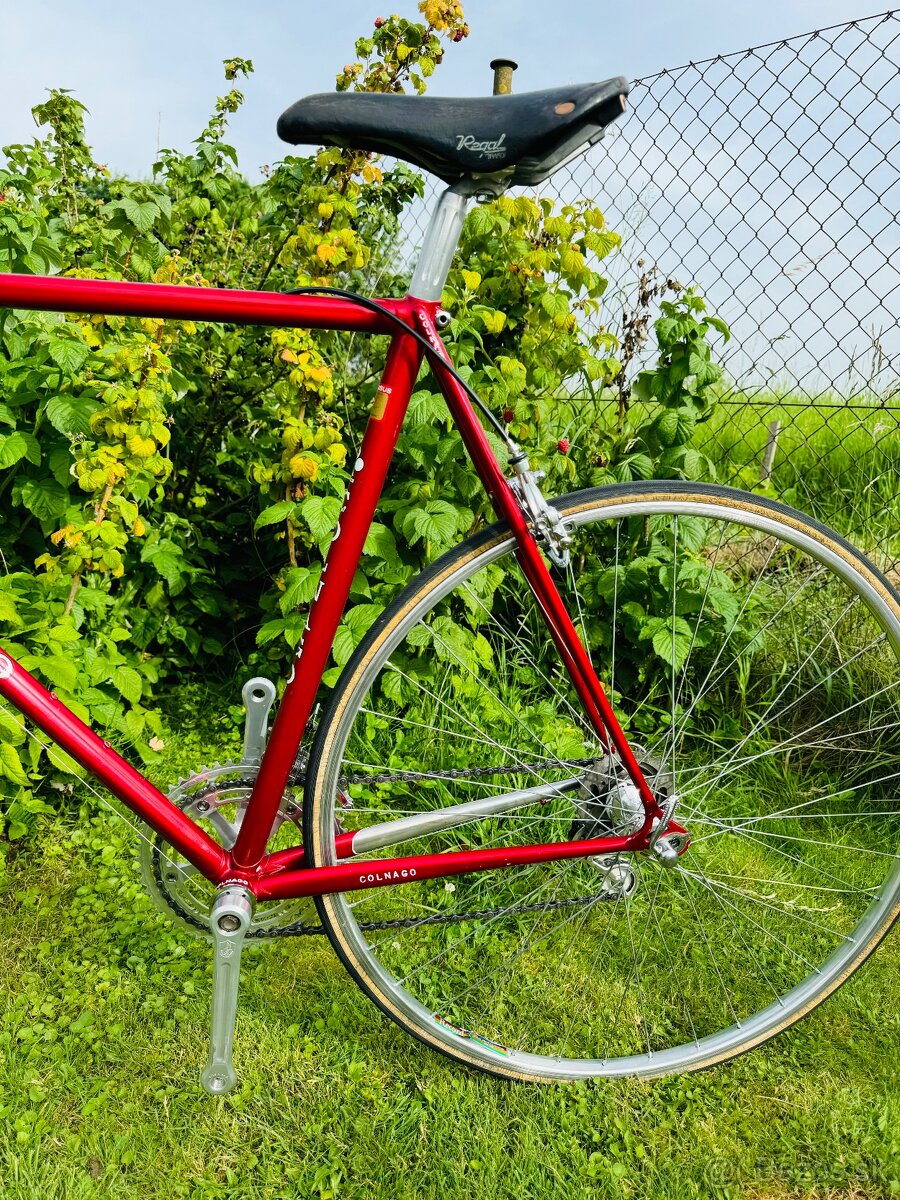 Colnago Nuovo Mexico - 15