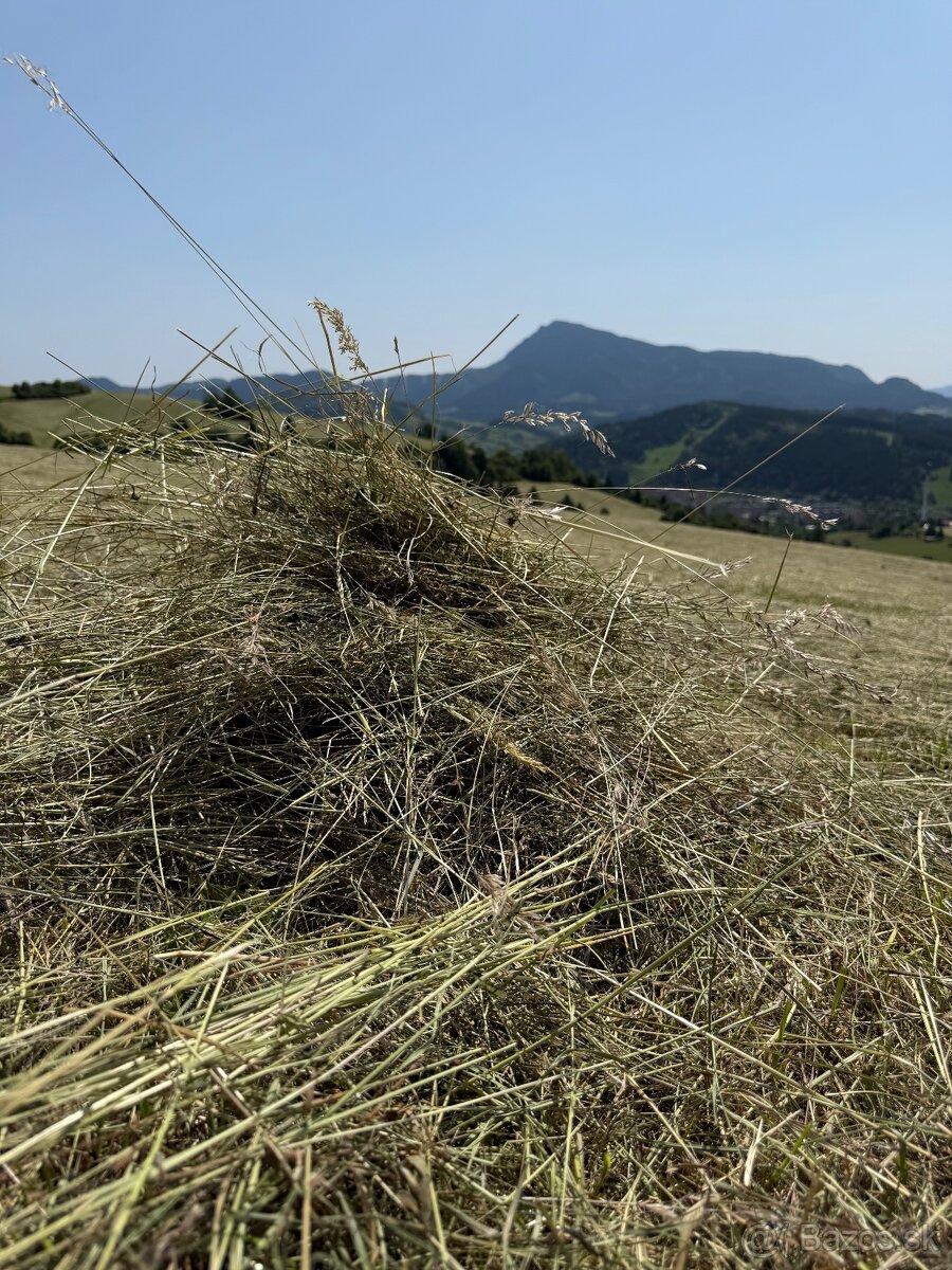 Ponúkam na predaj seno - 15