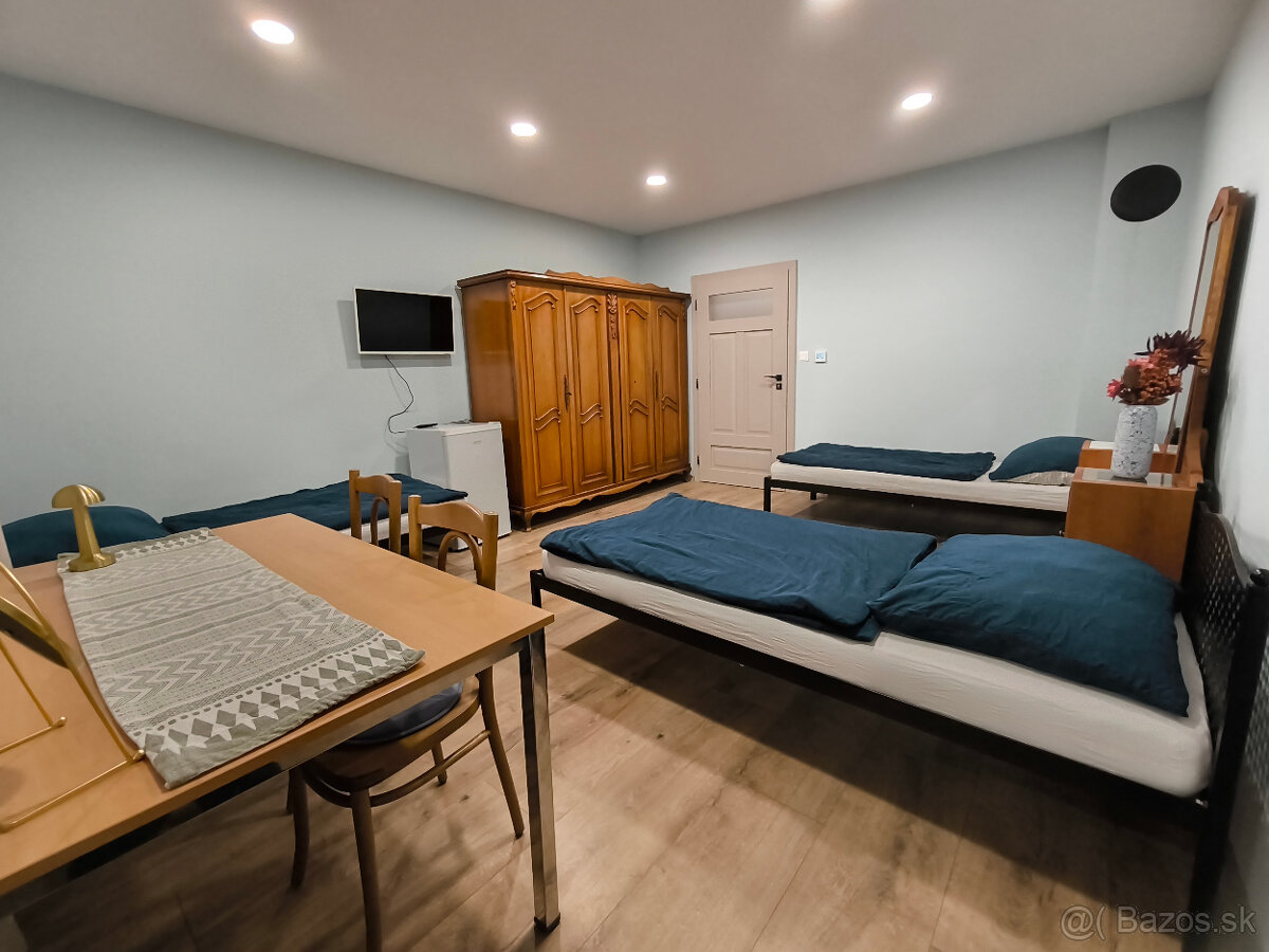 ubytovanie pri Piešťanoch - 15