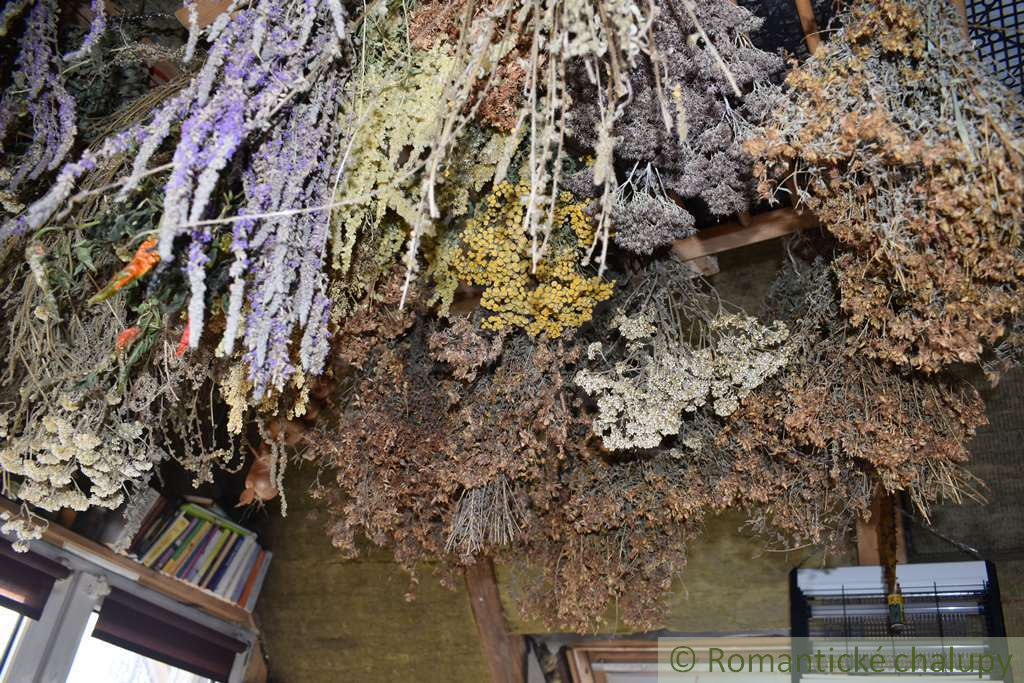 Domček v prírode Devičany - Pukanec - 15