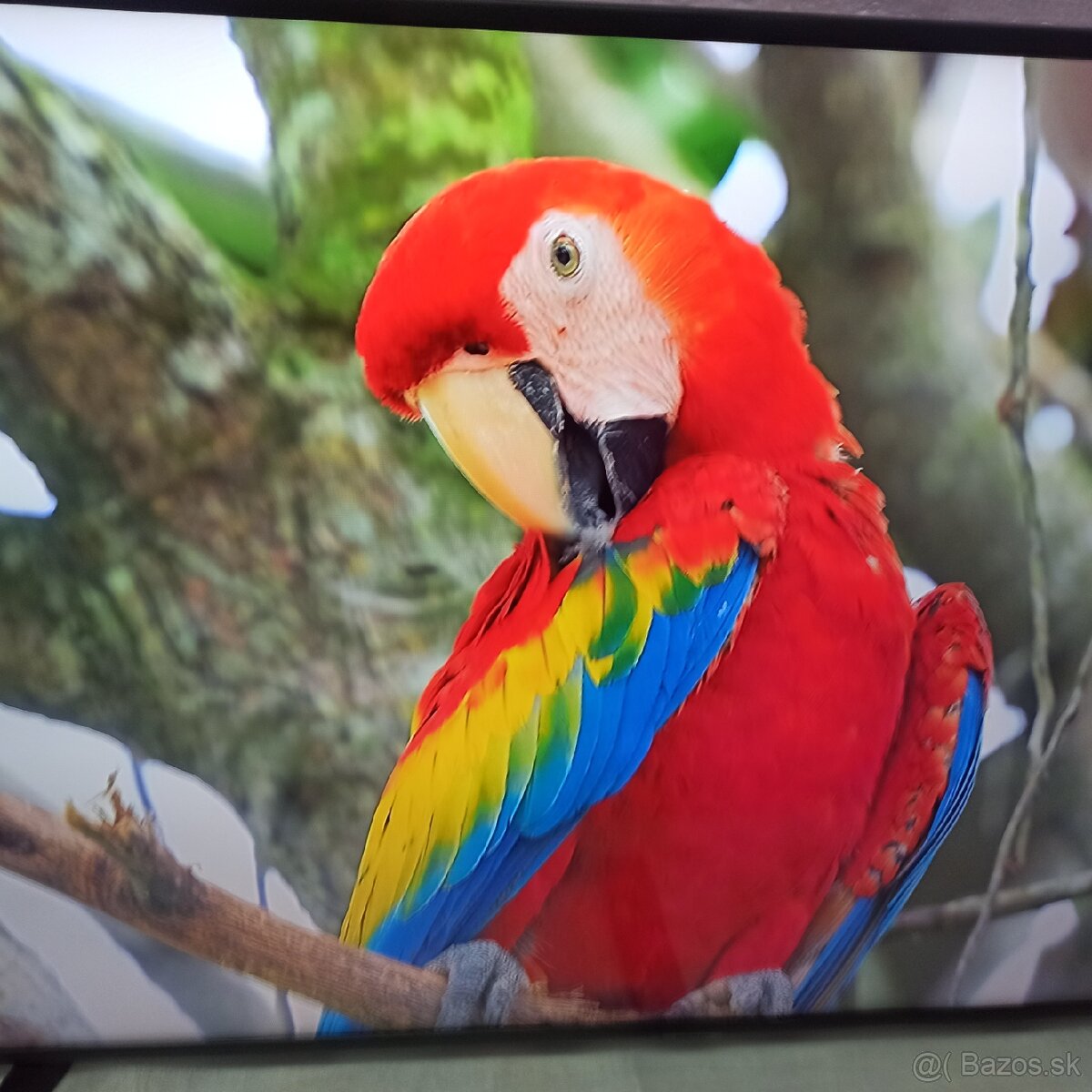 Samsung 4k led lcd tv 50 (127cm) smart - 15