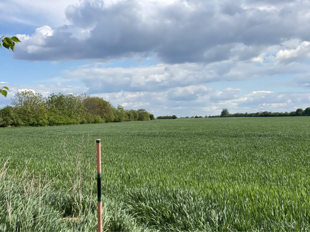 Pozemky v krásnom prostredí v Chorvátskom Grobe za priaznivú - 15