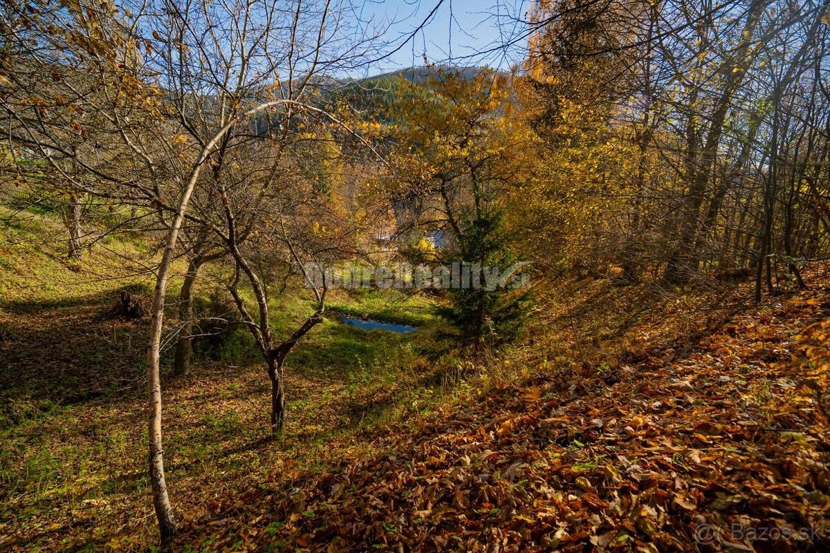 PREDAJ: Tajuplná záhrada s jazierkom a banským potôčikom, 19 - 15