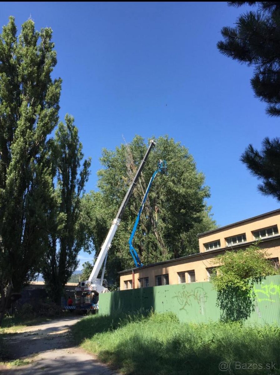 Kosenie-mulčovanie pozemkov//Pílenie//Orez stromov - 15