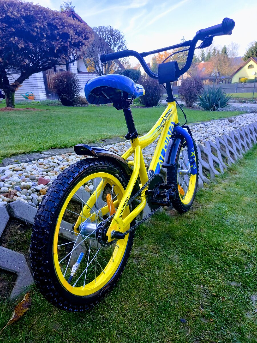 ALPINA -Detský bike - 15