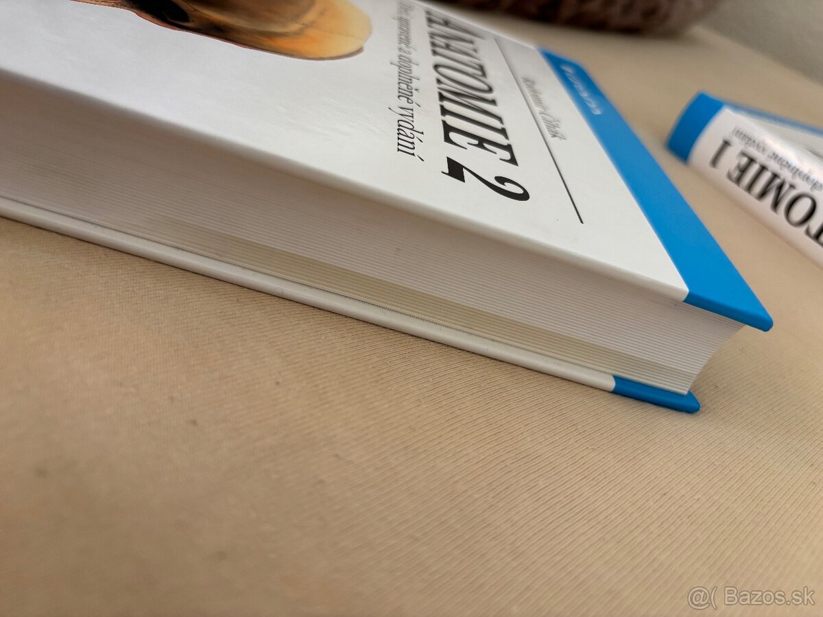 Anatomia Čihák 1,2 - 15