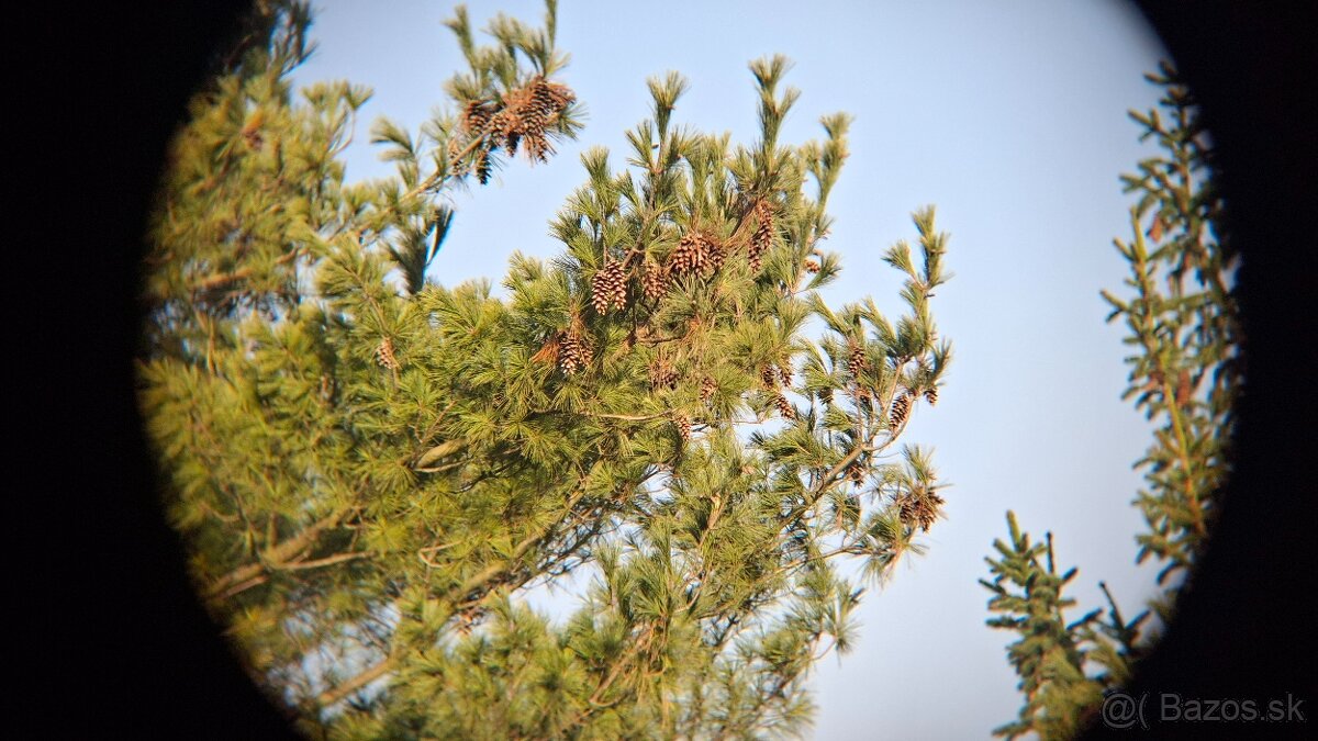 Ďalekohľad BPC5 8x30 - 15