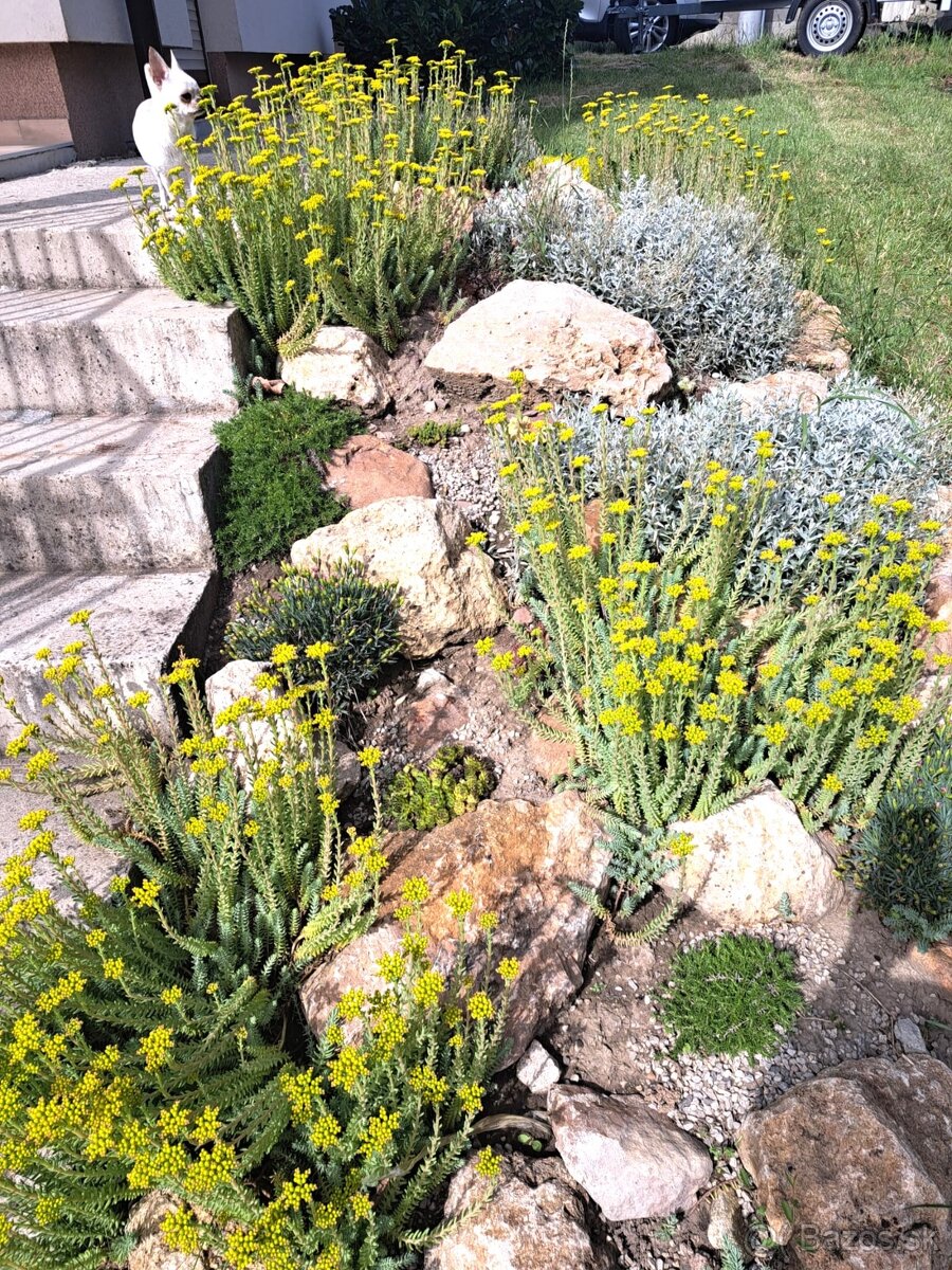 PREDAJ- rodinný dom v obci Cífer - 15