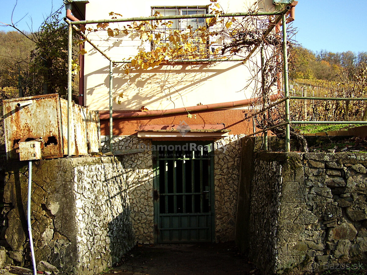 Záhradný domček s vinohradom - 15