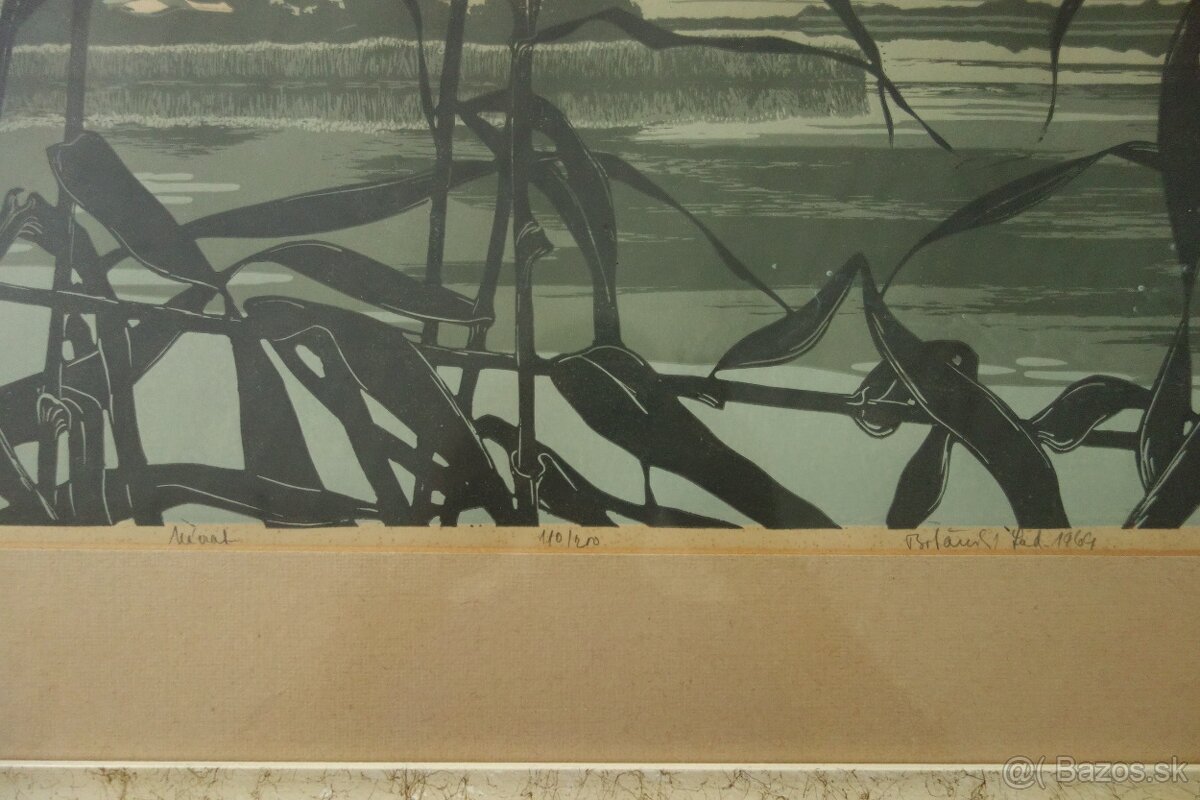 Obraz - Botanský - návrat - 15