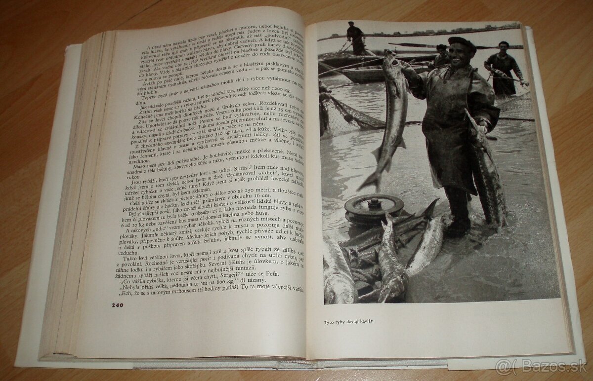 Revír bez hranic - 15