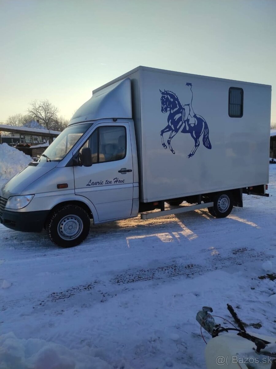 Mercedes prepravnik na kone - 15