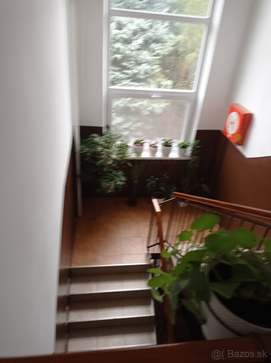 Predám byt Šalgočka - 15